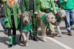 St.-Patrick´s-Day-2024-Tag-2-187-von-385